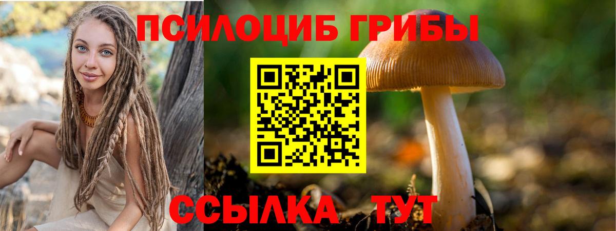 Галлюциногенные грибы Cubensis Ртищево